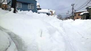年の瀬に大雪もらう 