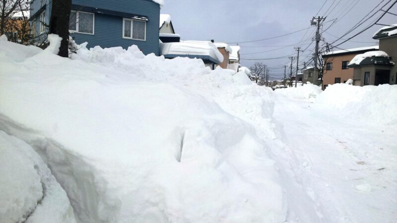 年の瀬に大雪もらう 