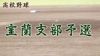 【代表】室蘭支部予選＜令和元年度 全国高等学校野球選手権大会 第101回南北海道大会＞ 