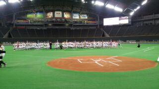 NPB12球団ジュニアトーナメントの歴史 