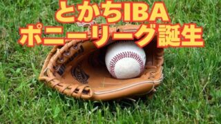 「とかちIBAポニーリーグ」誕生！十勝に新たな選択肢が加わる 