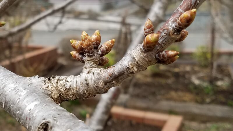 今週の出没は・・・、 
