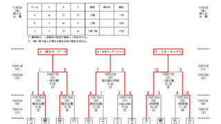 優勝は緑丘ホーマーズ 準Vスターキングス 