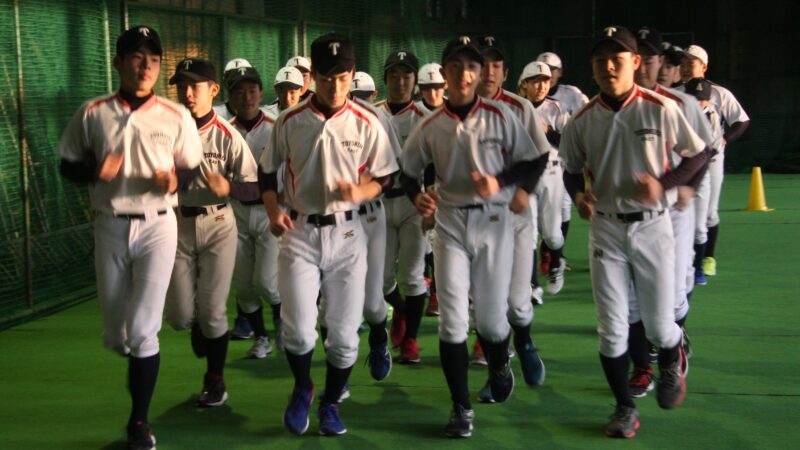 札幌豊平東シニアを取材！【予告】 