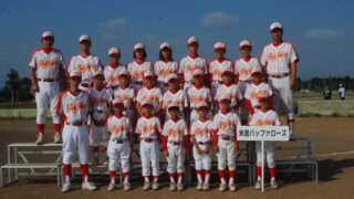 米里バッファローズ 