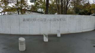 駒大苫小牧ベンチ入りメンバー＜2020秋全道＞ 