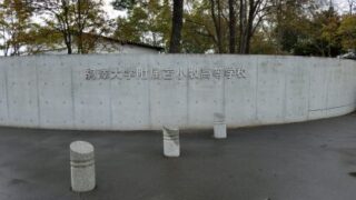 駒大苫小牧ベンチ入りメンバー＜2021南・北海道＞ 