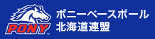 【記録】夏季大会 