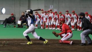 今週の出没は・・・、 