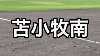 苫小牧南ベンチ入り＜2026秋＞ 