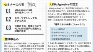 所属に関係無く硬式で試合してみたい方を募集！ ＬＩＧＡエルマーノス（リーグ戦） 