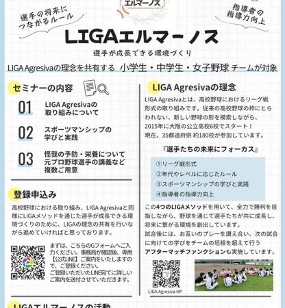 所属に関係無く硬式で試合してみたい方を募集！ ＬＩＧＡエルマーノス（リーグ戦） 