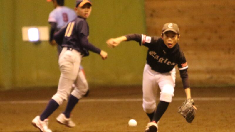今週の出没は・・・、 