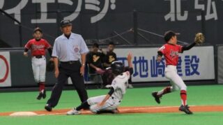 明日からの出没は・・・、 