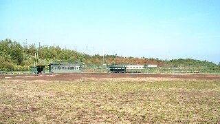 【組合せ】キメラカップ 