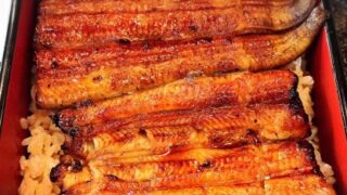 第５回　目の機能を意識する 