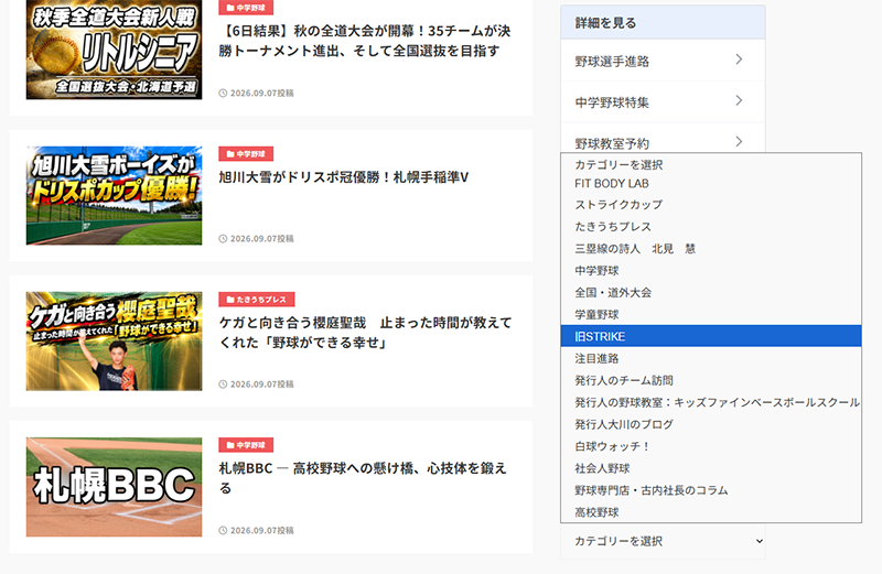 カテゴリーから旧ストライクへ