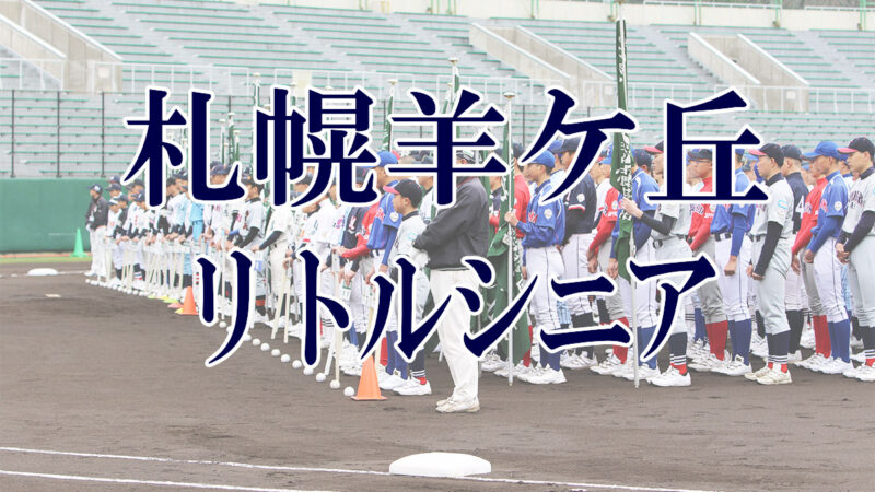 札幌羊ケ丘リトルシニア＜2019新人・マツダ旗＞ 